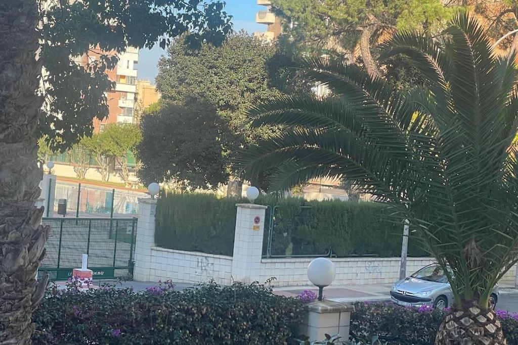 Apartamento Moderno Y Coqueto En Playa San Juan Alicante Dış mekan fotoğraf